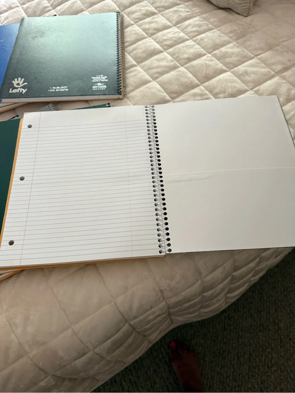 Roaring Spring Lefty Subject College Ruled Left Handed Spiral Notebooks Lot of 8